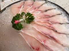 -顺德公广东猪肚鸡·煲仔饭(白石洲店)