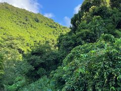 -梧桐山风景名胜区