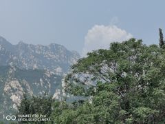 -凤凰岭蒙古包风味餐厅
