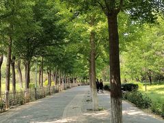 -东升八家郊野公园