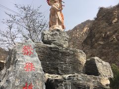 -大岭沟猕猴桃谷风景区