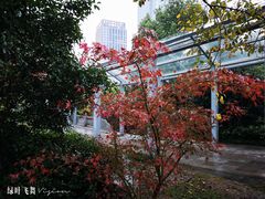 -杭州市第三人民医院