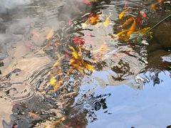 -绣园·茶食宴(湘绣博物馆店)