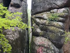 -汤旺河林海奇石景区