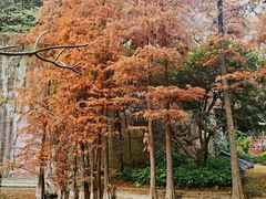-广州莲花山旅游区