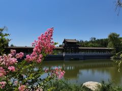 -北宫国家森林公园