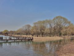 -苏州太湖湖滨国家湿地公园