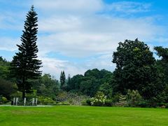 -深圳市中科院仙湖植物园