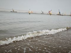 -南沙蒲洲花园