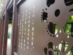 -重庆彩云湖湿地公园