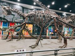 -吉林省自然博物馆