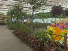 -南宫五洲植物乐园