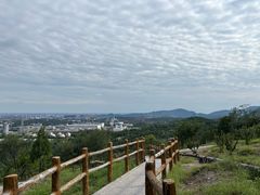 -白水寺森林公园