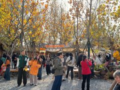 -辛庄国际文化艺术区