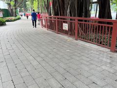 -荔湾湖公园