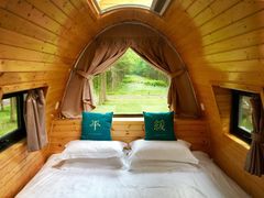 -黄海国家森林公园