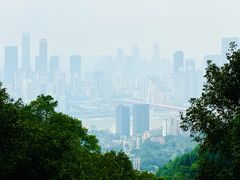 -南山植物园