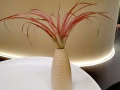 -木兰逸•泰式按摩•头疗•SPA(车公庙店)