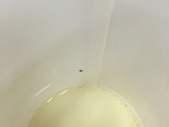 -麦当劳(长泰商业广场店)