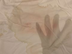 -瑞派罗医生宠物诊所(古镇分所)