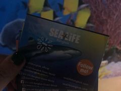 -暹罗海洋世界