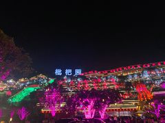 景观位-枇杷园食为鲜火锅(南山店)