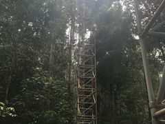 -乌鲁淡布隆国家公园