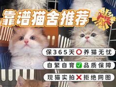 -lincat·猫舍(广州店)