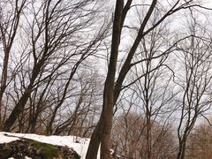 -终南山南五台景区