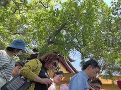 -灵岩山风景区