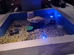 -寿州大饭店·餐厅