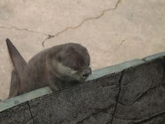 -杭州野生动物世界