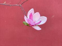 -西安市广仁寺