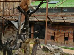 -石家庄市动物园