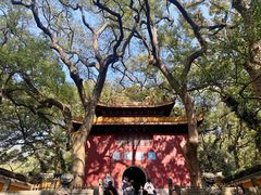 -普陀山风景名胜区-法雨禅寺