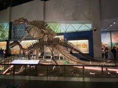 -湖南省地质博物馆