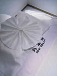 -玛莲朵·海菲秀冰珀科