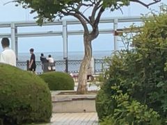 -黑石礁公园