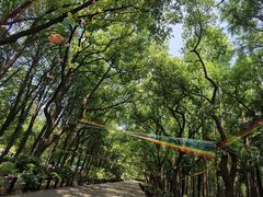 -上海共青森林公园