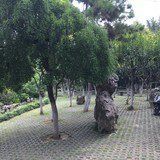 -郑和公园