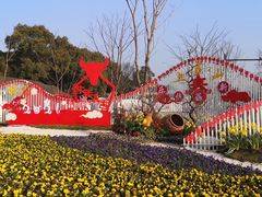 -苏州上方山国家森林公园