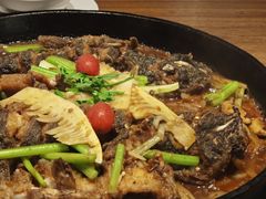 -老板恋上鱼(恒隆广场店)