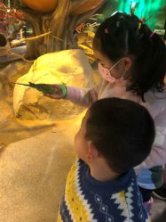 -酷嗒动物文化乐园(cutezoo西溪乐天城店)