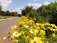 -永定河休闲森林公园