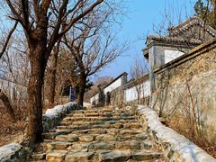 -阳台山自然风景区