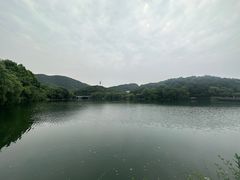 -杭州半山国家森林公园