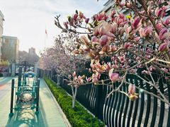 -金色摇篮潜能开发幼儿园(大兴校区)