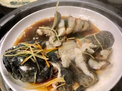 龙胆鱼-蔚海之都·象山蒸汽海鲜(仙霞路店)