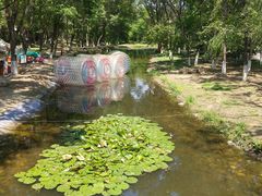 -长白岛森林公园