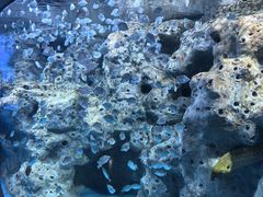 -太平洋海底世界